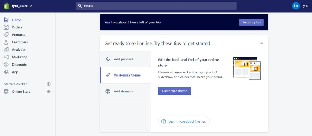 Customize Theme for your site
